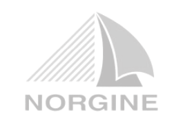 Norgine